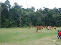 Tn DSC 6431